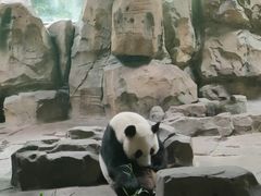 -扬州市茱萸湾风景区