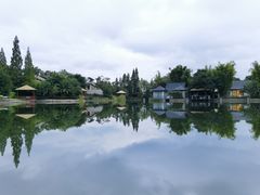 -抚仙湖万达文华酒店