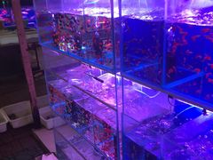 -长宁东道花卉宠物市场