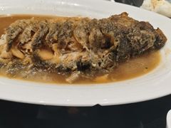 -阿庄新豫菜(通泰路店)
