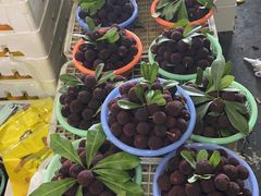 -江杨农产品批发市场