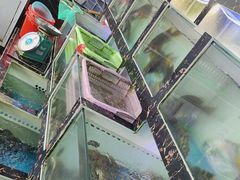 -众味海鲜大排档·活海鲜·潮汕味(南澳店)