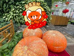-长春农博园