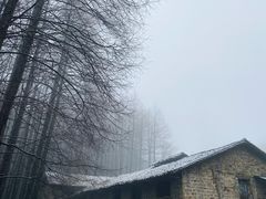 -山王坪喀斯特国家生态公园