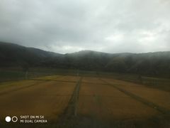 -南泥湾风景区