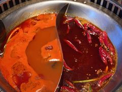 -辣伍鲜毛肚老火锅(元一店)
