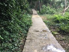 iphone_upload_pic-广西龙虎山风景区