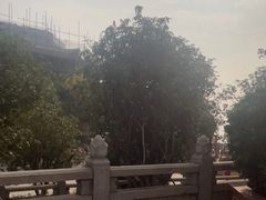 -广州莲花山旅游区