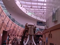 -陕西自然博物馆