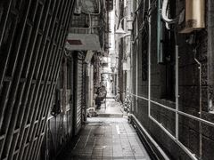 -水围村