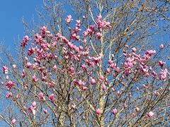 -长辛店二七公园