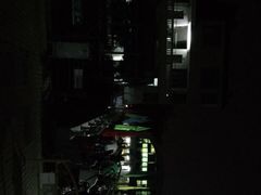 -鱼珠码头(轮渡站)