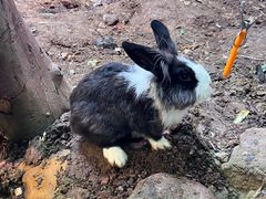 -正佳雨林生态植物园