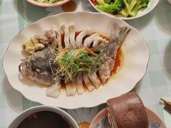 -天鹅到家·保姆月嫂育儿嫂(朝阳店)