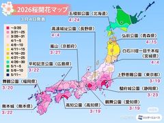 -帝京日语(春熙路旗舰校区)