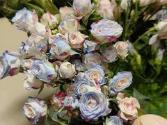 -安琪盲人按摩调理草本熏蒸馆(风和日丽店)