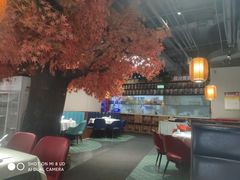大堂-雲蜀龙阁·金牌水煮鱼(方庄店)