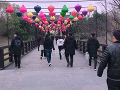 -合肥三国新城遗址公园