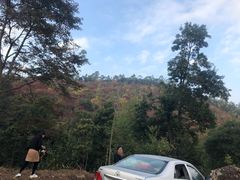 -广州市石门国家森林公园