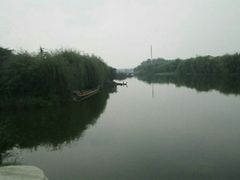 -溱湖国家湿地公园