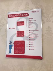-大美臻喜母婴(重庆创始店)
