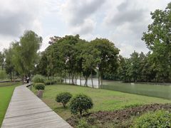 -长广溪湿地公园