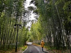 -苏州环秀晓筑养生度假村
