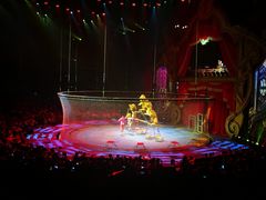 -珠海横琴长隆《卡卡虎奇遇记》