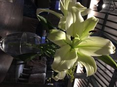 iphone_upload_pic-澳莱酷品牛扒(开平东汇城店)