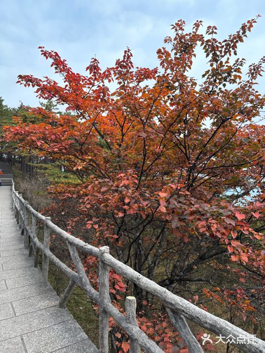 黄山风景区图片