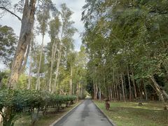 -中国科学院西双版纳热带植物园