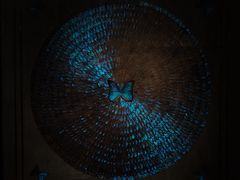 -上海昆虫博物馆