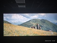 -CMC大光明影城(莲花店)