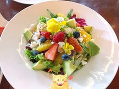 -haxnbauer海森堡德国餐厅(深圳coco店)