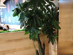 -比格比萨自助(宋家庄店)