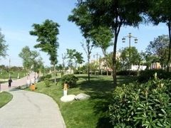 -唐城墙遗址公园