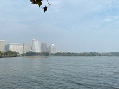 -放鹰台遗址