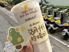 -猫的魔法密林(衣裳街店)