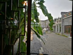 -宝安西湾红树林湿地公园