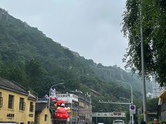 -李子坝梁山鸡(李子坝大鸡哥店)