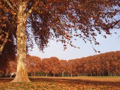 iphone_upload_pic-河南省黄河迎宾馆