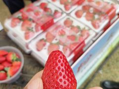 -广州天河体育中心-棒垒球场