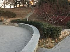 -望湖公园