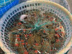 -蓝珊甄选海鲜自助·火锅大排档(近阿那亚店)