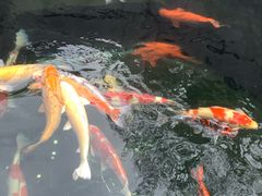 -西安市广仁寺