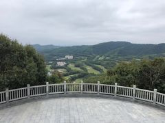-大屏嶂森林公园