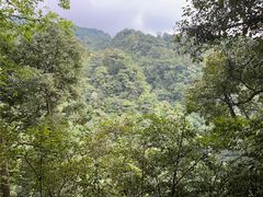-青城山