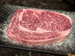 -老乾杯(深圳湾万象城店)