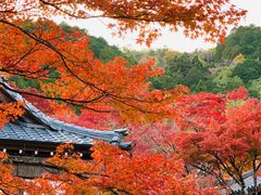 -常寂光寺