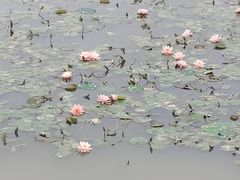 -立新湖公园